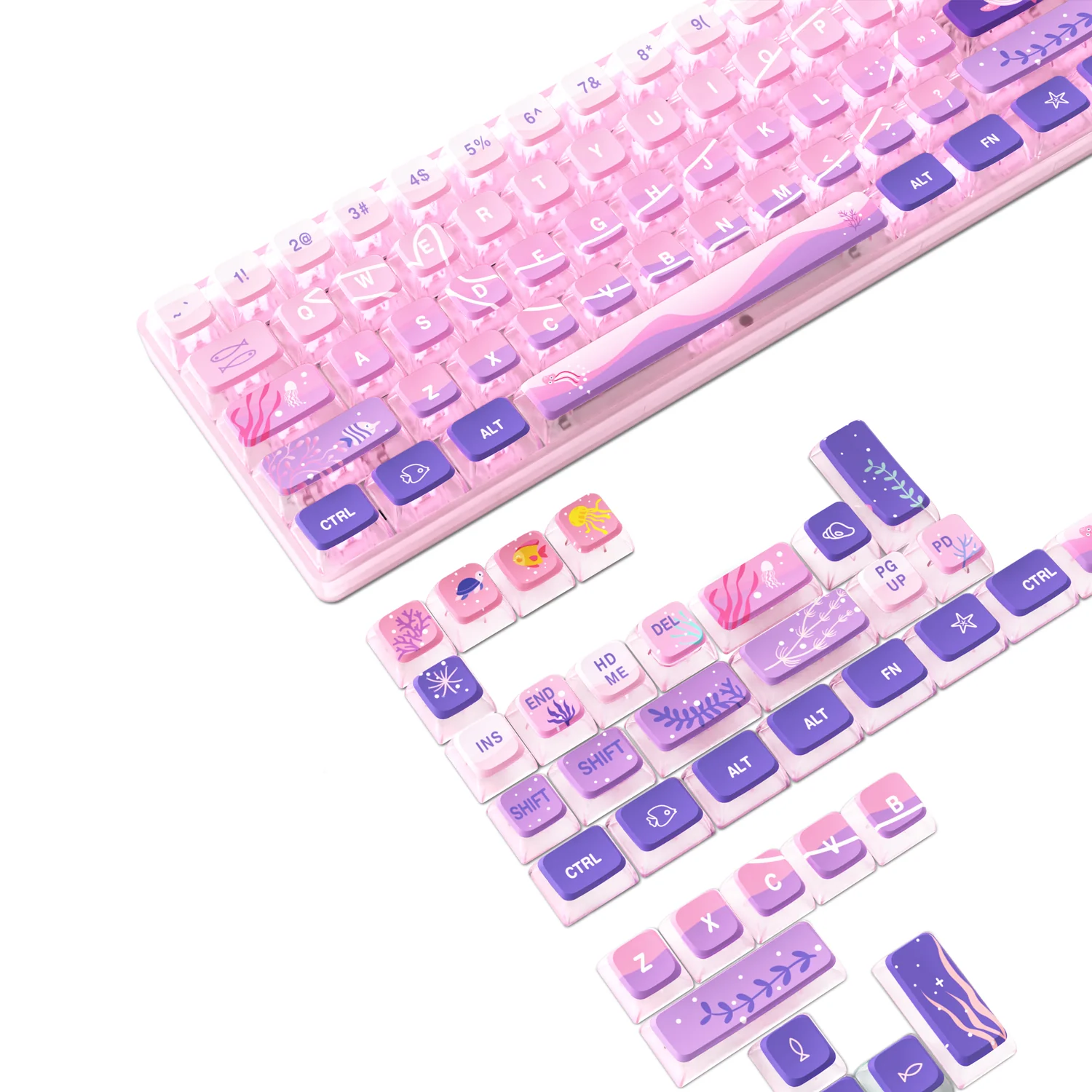 Thumbnail 48